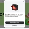 Без объяснений отказ в оформлении карты Я-Пэй.