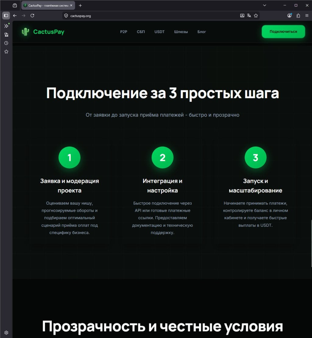 Платежная система CactusPay.PRO - CactusPAY как платежным решением для онлайн-казино