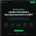 Отзыв о Платежная система CactusPay.PRO: CactusPAY как платежным решением для онлайн-казино