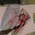 Натуральное? Что-то очень сомнительно!