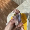 Феле -бедра без кожи