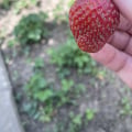 шикарное обслуживание