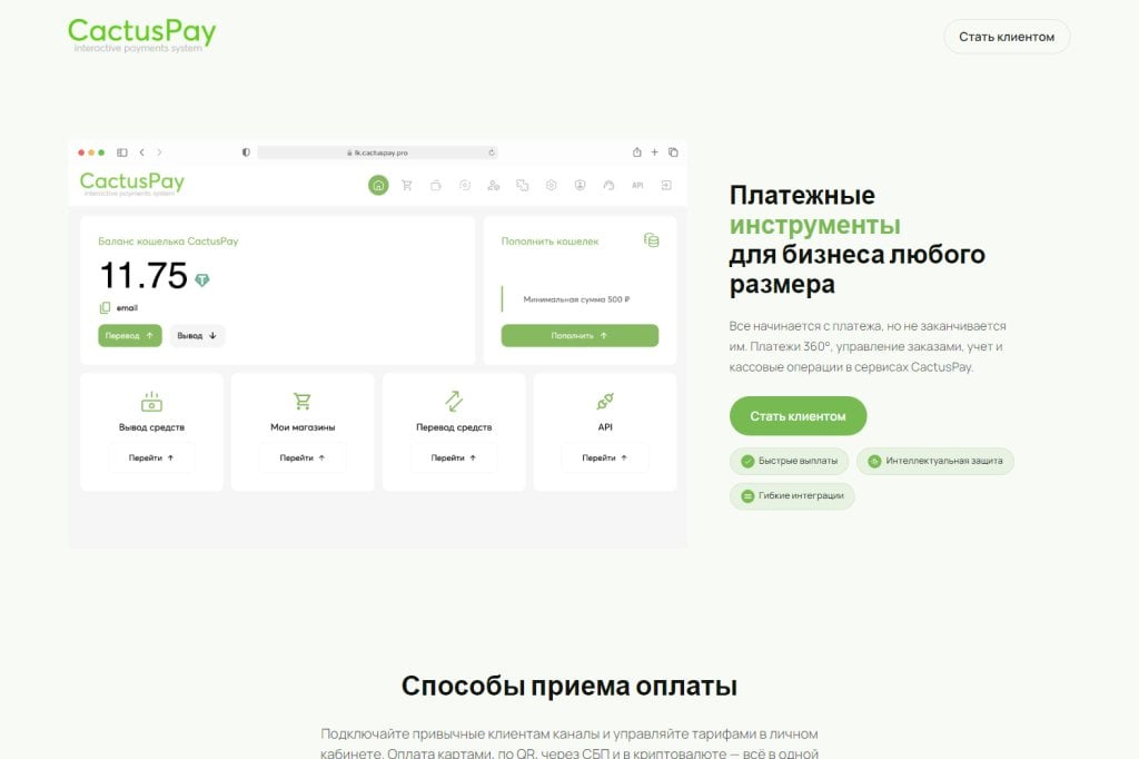 Платежная система CactusPay.PRO - CactusPAY отзыв в 2026