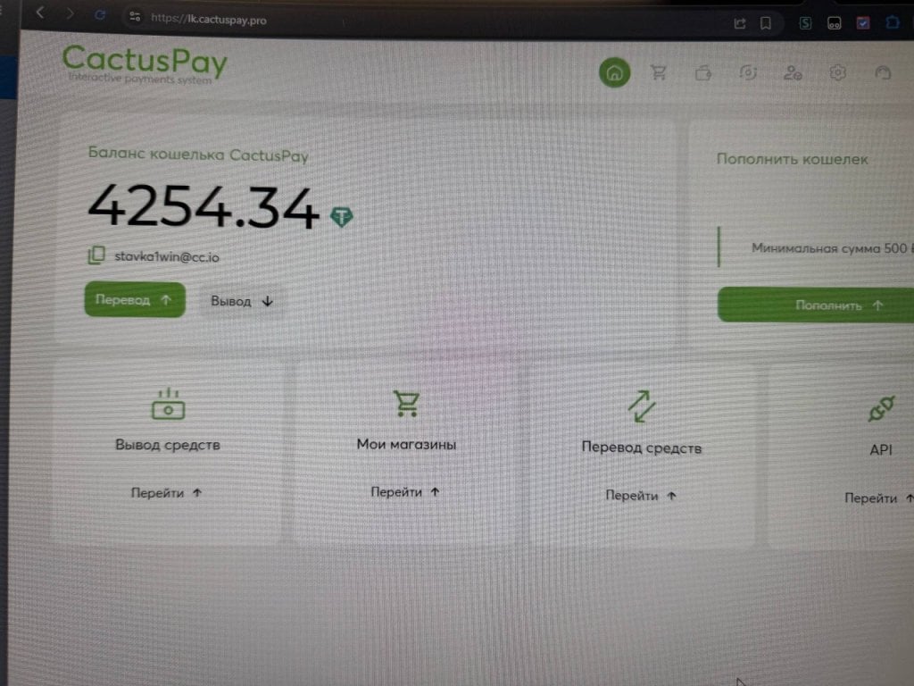 Платежная система CactusPay.PRO - CactusPAY это ТОП