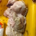 у Петелинки ужасное качество, перья и обколота всякой дрянью