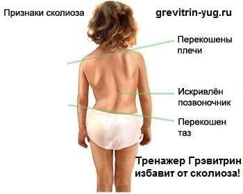grevitrin-yug.ru - Тренажер Грэвитри КОМФОРТ ПЛЮС ВИБРО+ФРИ ORTO от остеохондроза и грыжи позвоночника