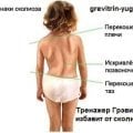 Тренажер Грэвитри КОМФОРТ ПЛЮС ВИБРО+ФРИ ORTO от остеохондроза и грыжи позвоночника