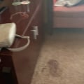 Жалоба на сотрудников.