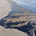 Отдых в Фуджейре от туроператора Библиоглобус