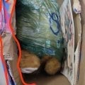 Испорченная посылка, воровство