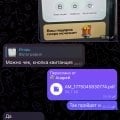 Мошенник 100%