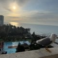 В Сочи зимой с Травелатой