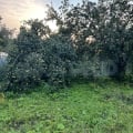 Вышел на пенсию-купил дачу)