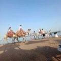 Любимая Травелата