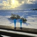 Гастрономический тур в Калининград 3-7 января 2026