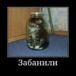 Вячеслав